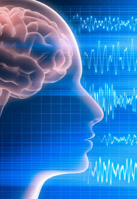 brain